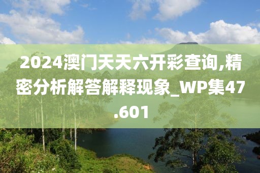 2024澳门天天六开彩查询,精密分析解答解释现象_WP集47.601