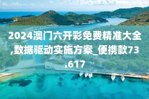 2024澳门六开彩免费精准大全,数据驱动实施方案_便携款73.617