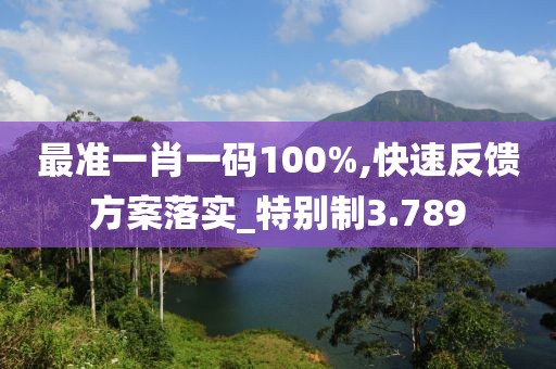 最准一肖一码100%,快速反馈方案落实_特别制3.789
