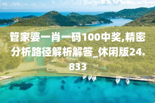 管家婆一肖一码100中奖,精密分析路径解析解答_休闲版24.833