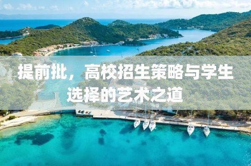 提前批，高校招生策略与学生选择的艺术之道