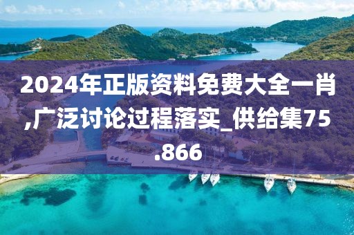 2024年正版资料免费大全一肖,广泛讨论过程落实_供给集75.866