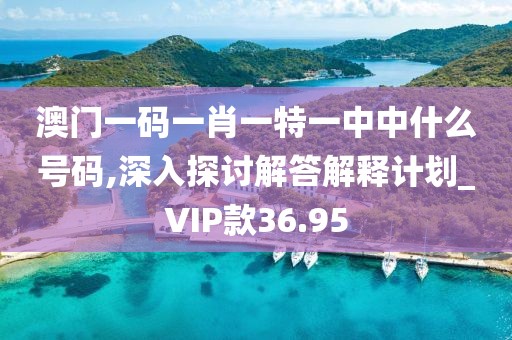 澳门一码一肖一特一中中什么号码,深入探讨解答解释计划_VIP款36.95