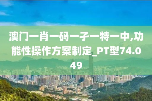 澳门一肖一码一孑一特一中,功能性操作方案制定_PT型74.049