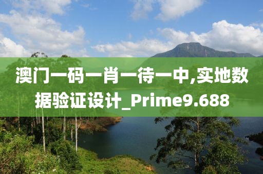 澳门一码一肖一待一中,实地数据验证设计_Prime9.688