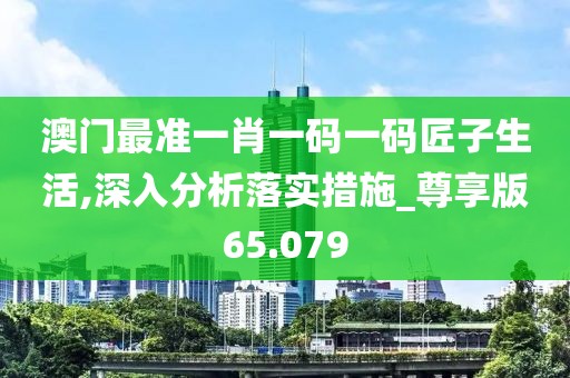 澳门最准一肖一码一码匠子生活,深入分析落实措施_尊享版65.079