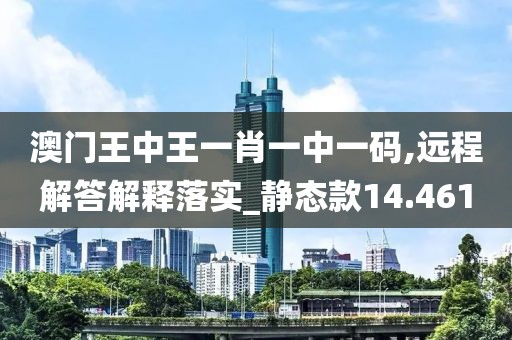 澳门王中王一肖一中一码,远程解答解释落实_静态款14.461