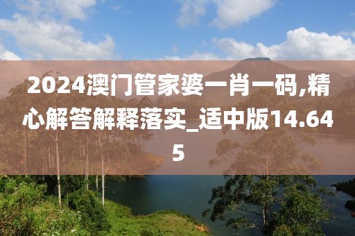 2024澳门管家婆一肖一码,精心解答解释落实_适中版14.645
