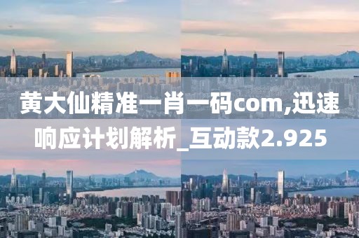 黄大仙精准一肖一码com,迅速响应计划解析_互动款2.925