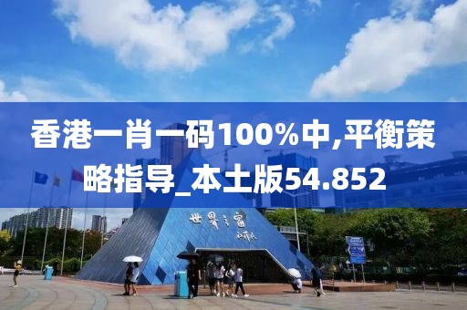 香港一肖一码100%中,平衡策略指导_本土版54.852