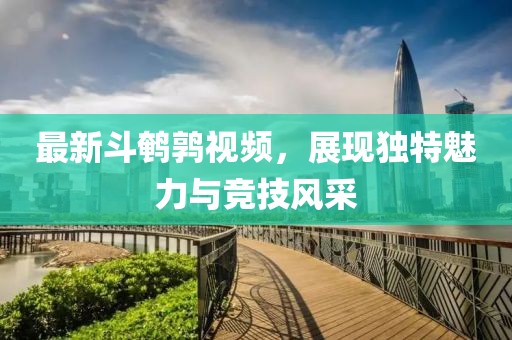 最新斗鹌鹑视频，展现独特魅力与竞技风采