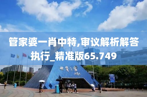 管家婆一肖中特,审议解析解答执行_精准版65.749