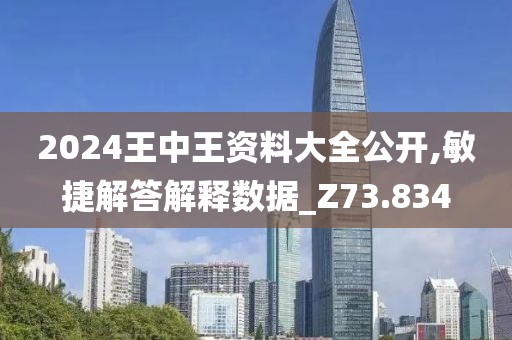2024王中王资料大全公开,敏捷解答解释数据_Z73.834