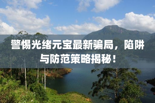 警惕光绪元宝最新骗局，陷阱与防范策略揭秘！