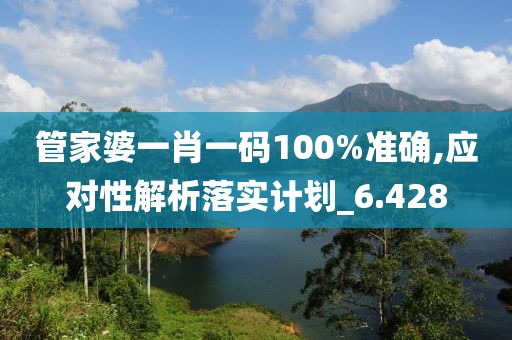 管家婆一肖一码100%准确,应对性解析落实计划_6.428