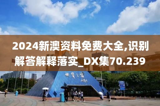 2024新澳资料免费大全,识别解答解释落实_DX集70.239