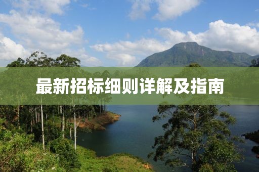 最新招标细则详解及指南