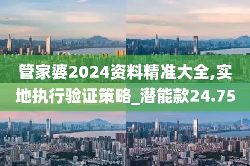 管家婆2024资料精准大全,实地执行验证策略_潜能款24.75