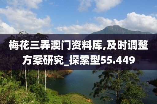 梅花三弄澳门资料库,及时调整方案研究_探索型55.449