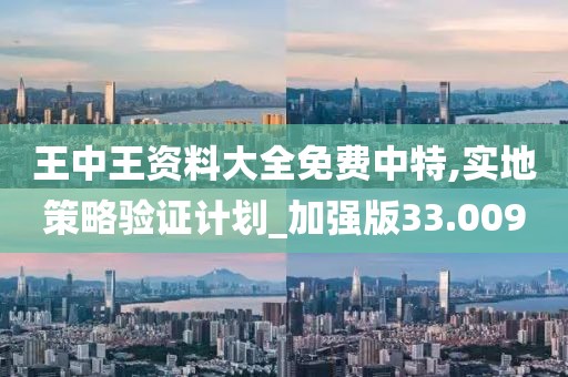 王中王资料大全免费中特,实地策略验证计划_加强版33.009