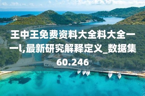 王中王免费资料大全料大全一一l,最新研究解释定义_数据集60.246