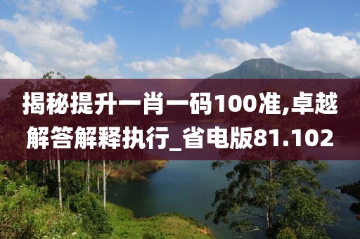 揭秘提升一肖一码100准,卓越解答解释执行_省电版81.102