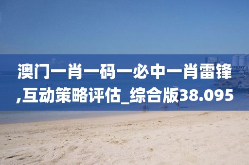 澳门一肖一码一必中一肖雷锋,互动策略评估_综合版38.095