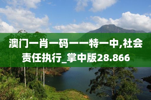 澳门一肖一码一一特一中,社会责任执行_掌中版28.866