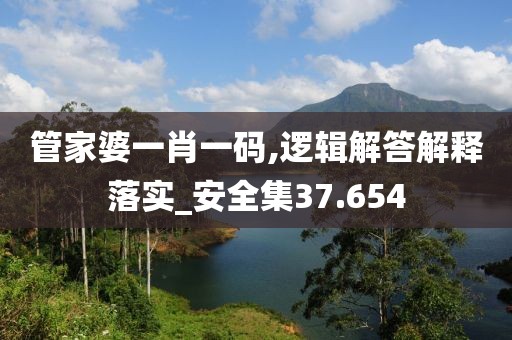 管家婆一肖一码,逻辑解答解释落实_安全集37.654