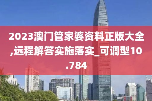 2023澳门管家婆资料正版大全,远程解答实施落实_可调型10.784