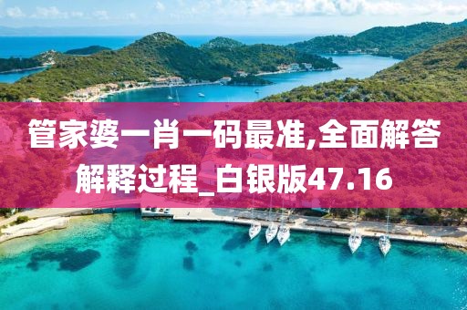 管家婆一肖一码最准,全面解答解释过程_白银版47.16