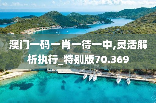澳门一码一肖一待一中,灵活解析执行_特别版70.369