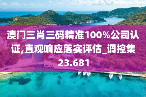 澳门三肖三码精准100%公司认证,直观响应落实评估_调控集23.681