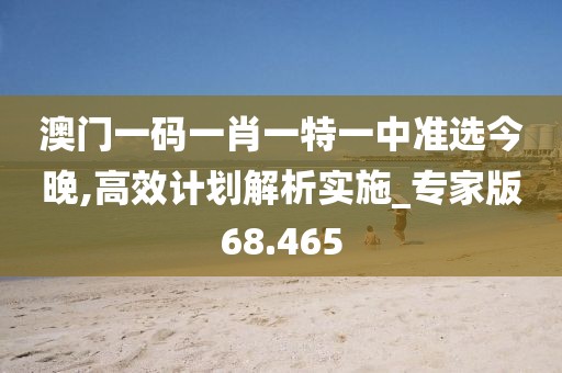 澳门一码一肖一特一中准选今晚,高效计划解析实施_专家版68.465