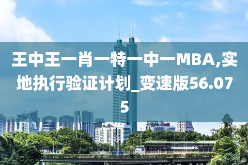 王中王一肖一特一中一MBA,实地执行验证计划_变速版56.075