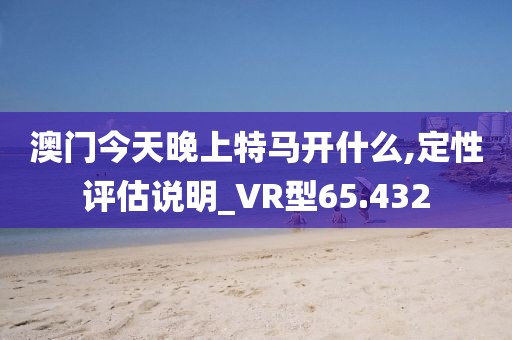 澳门今天晚上特马开什么,定性评估说明_VR型65.432