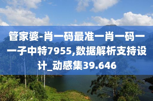管家婆-肖一码最准一肖一码一一子中特7955,数据解析支持设计_动感集39.646
