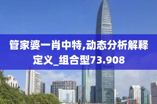 管家婆一肖中特,动态分析解释定义_组合型73.908
