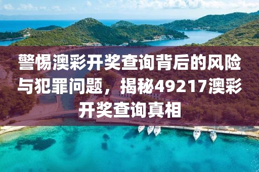 警惕澳彩开奖查询背后的风险与犯罪问题，揭秘49217澳彩开奖查询真相