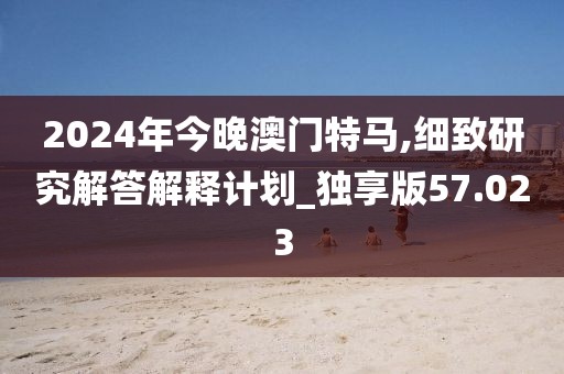 2024年今晚澳门特马,细致研究解答解释计划_独享版57.023