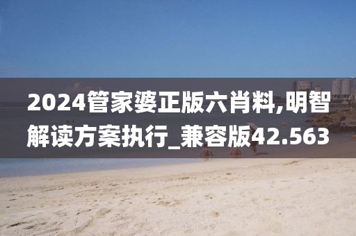 2024管家婆正版六肖料,明智解读方案执行_兼容版42.563