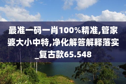 最准一码一肖100%精准,管家婆大小中特,净化解答解释落实_复古款65.548