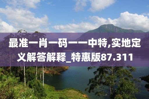 最准一肖一码一一中特,实地定义解答解释_特惠版87.311