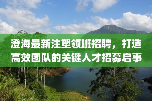 澄海最新注塑领班招聘，打造高效团队的关键人才招募启事