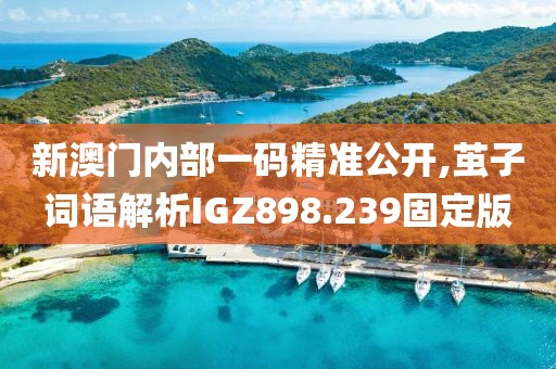 新澳门内部一码精准公开,茧子词语解析IGZ898.239固定版