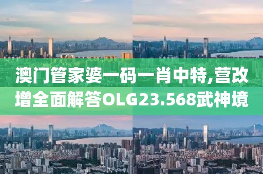 澳门管家婆一码一肖中特,营改增全面解答OLG23.568武神境