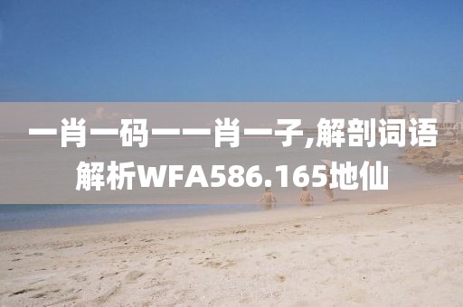 一肖一码一一肖一子,解剖词语解析WFA586.165地仙