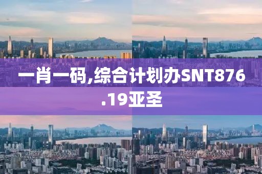 一肖一码,综合计划办SNT876.19亚圣