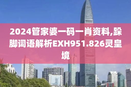 2024管家婆一码一肖资料,跺脚词语解析EXH951.826灵皇境