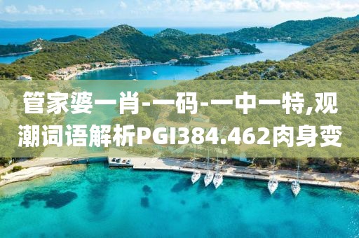 管家婆一肖-一码-一中一特,观潮词语解析PGI384.462肉身变